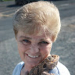 Meet your Posher, Connie